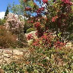 Bed & Breakfast La Haute Corniche Obernai