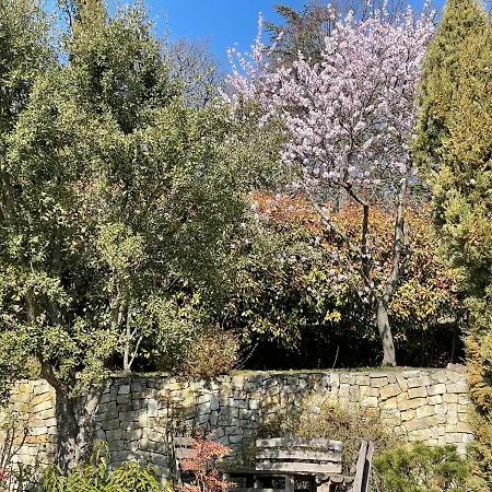 La Haute Corniche Bed & Breakfast Obernai