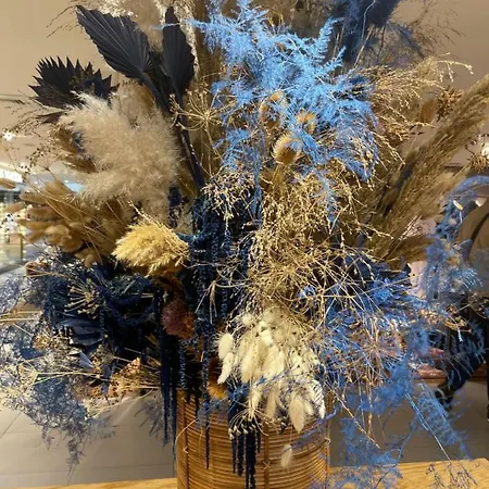 La Haute Corniche Nocleg ze śniadaniem Obernai